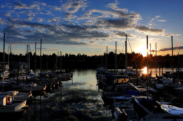 Fiddlehead Marina